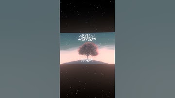 سورة الفرقان|27|القارئ:#محمد_اللحيدان #قران #quran #قران_كريم #تلاوة #تلاوة_هادئة #آية #تلاوة_خاشعة
