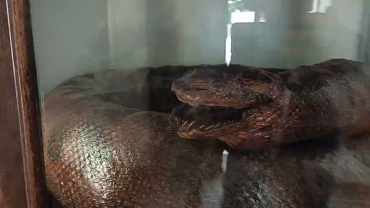 Museu Pe Cícero, Juazeiro do Norte