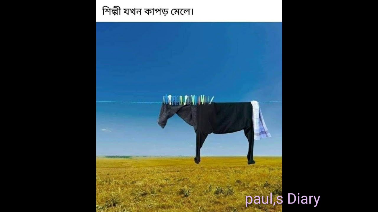 Bangla meme Collection..... বাংলা মিম_এর ভিড়।