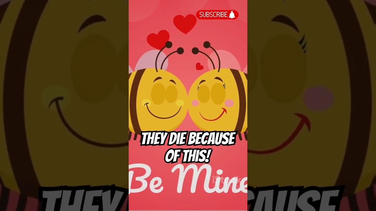 Bees Die from THIS?! 