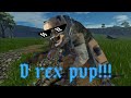 【JB】D rex pvp!! #dinosaur #jurassicblocky #roblox