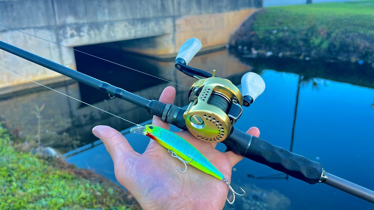 Fishing South Florida Ponds Is THIS Easy!