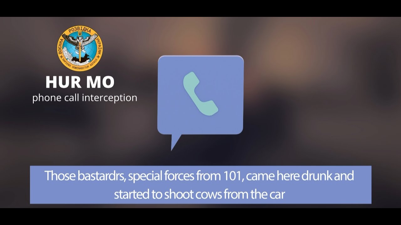 'According to plan': 6 commandos drank 30 liters of vodka and shot 2 cows