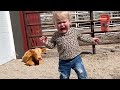 Funniest Babies Moment Will Make You Laugh Hard |Funny Babies Video