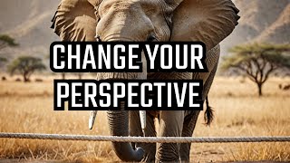The Elephant and the Rope: Motivational Story That Changed How You See Your Limitations