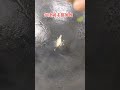 往后的形势