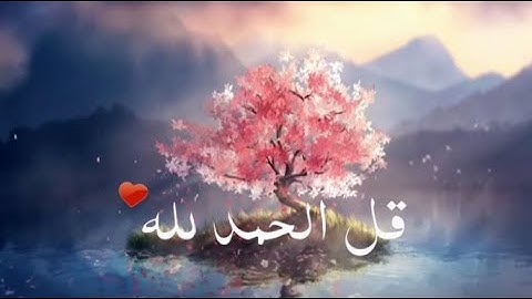 قرآن كريم بصوت القارئ: معاذ العيد | أجمل حالات واتس اب دينيه |  تلاوة خاشعة📖