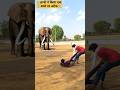 Itna Bada Hathi Maine Kabhi Dekha Nahin Elephant Attack Hathi Elephant Elephantattack Animal 