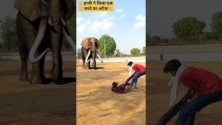 Itna Bada Hathi Maine Kabhi Dekha Nahin Elephant Attack
