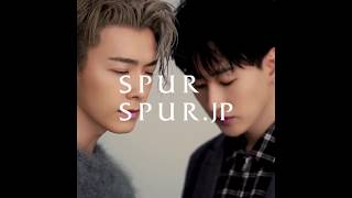 HD 171117 SPUR magazine with D&E