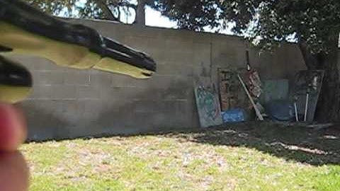 Bob long vice shooting video