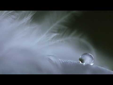 Video thumbnail: Tears - Gypsy jazz backing track + music sheet
