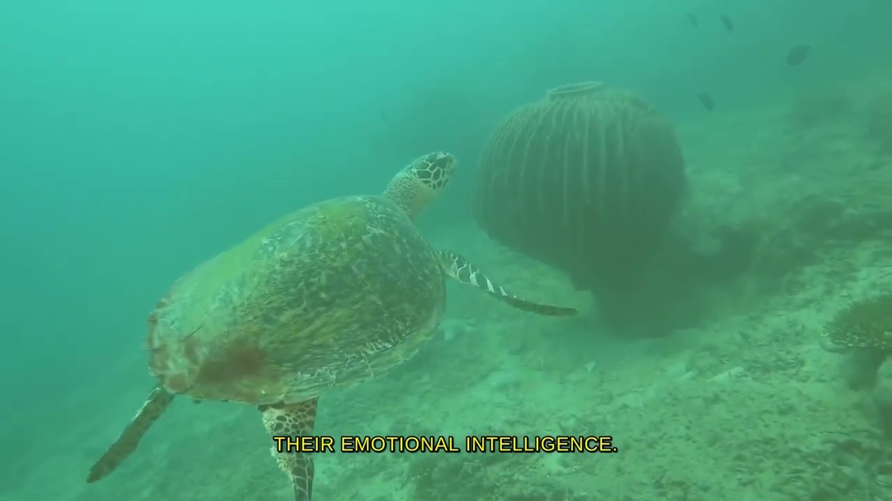 60 Amazing Facts About Natural patterns in nature and wildlife