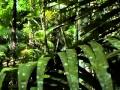 BBC documentary 2014 Spider Power Nature Documentary