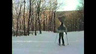 Mount Sunapee 1988