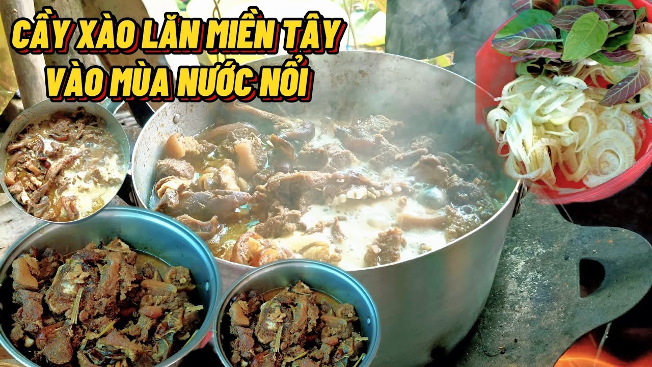 Món Cầy Xào Lăn Đặc Biệt Vitamin Gâu Gâu Ở Miền Tây Vào Mùa Nước Nổi#TrungTinhTV