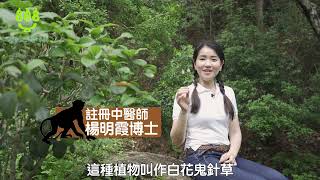《二十四節氣養生 之 夏至 如何透過五音及動作改善五臟六腑的功能?》