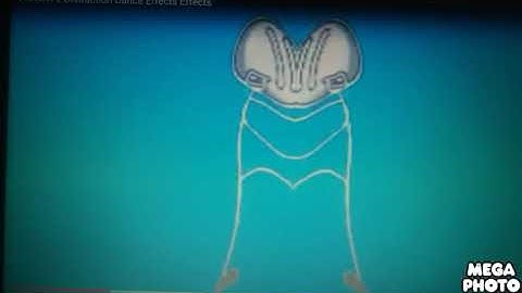 Preview 2 Distanction Dance eFfects in confusion G Major 4 Reversed