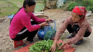 Harvest vegetables to sell. Single mother trying to earn money to raise her children