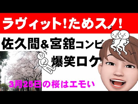 佐久間&宮舘コンビの【ためスノ】は爆笑の連続！～わたしの大切な日に咲いていた桜の写真をいただきました！