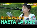 HASTA LA RAÍZ - ÑUSTA PICUASI (MELODÍA LIVE)