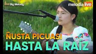 HASTA LA RAÍZ  ÑUSTA PICUASI (MELODÍA LIVE)