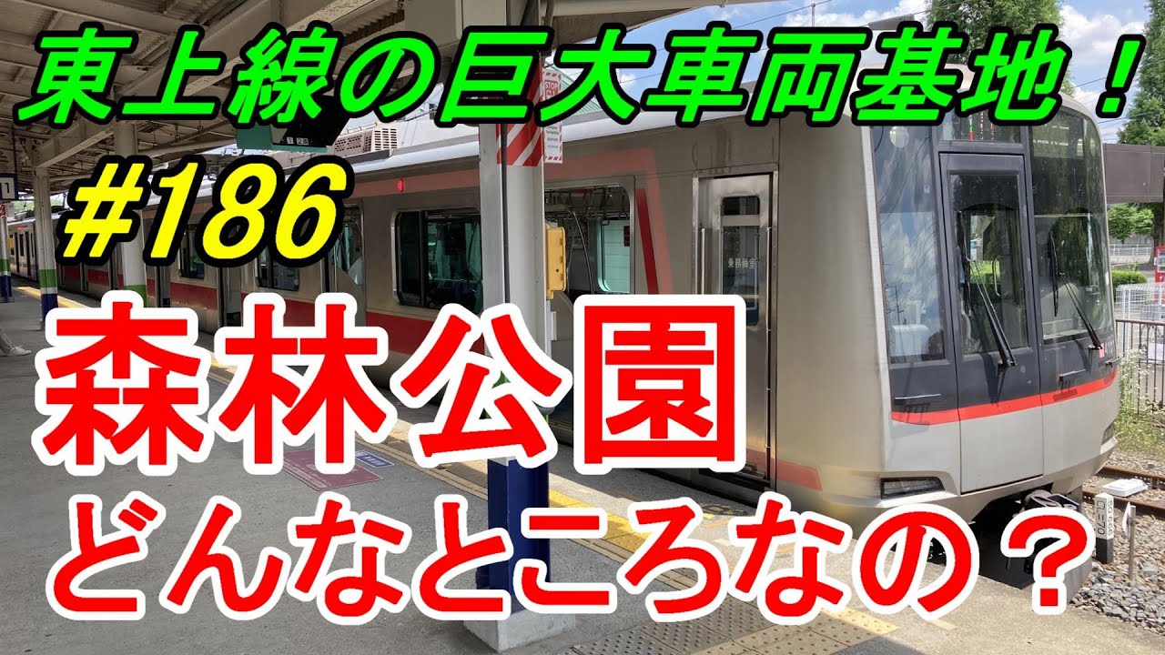 【行先探訪186】よくある行先「森林公園」ってどんなところなのかレポートします！
