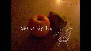 Kevin Atwater - rotted out with flies (Lyric Video)