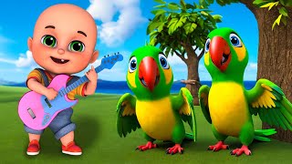 Five Little Parrots New Compilation | Five Little Birds | Nursery Rhymes and Kids Songs | Baby Bobo