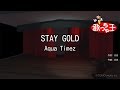 【カラオケ】STAY GOLD / Aqua Timez