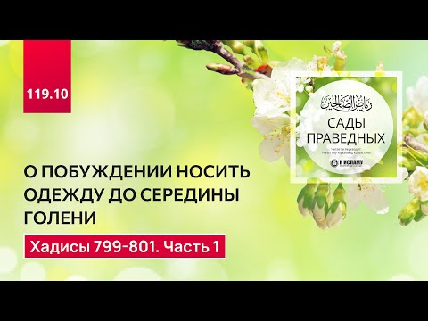119.10 Сады праведных. О ДЛИНЕ ОДЕЖДЫ, И ДРУГИЕ ПОЛЬЗЫ ИЗ ХАДИСА. Хадисы 799-801. Часть 1