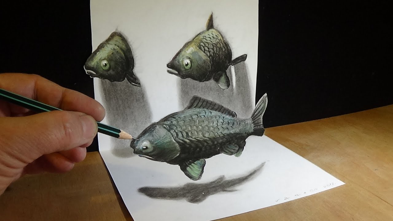 ⁣Drawing 3D Fishes Illusion - How to Draw Fishes in Three Dimension - Trick Art