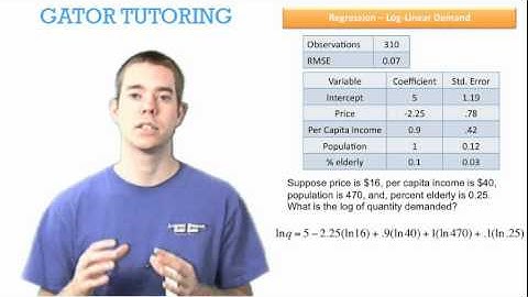 Managerial Economics Log Linear Demand Regression 1