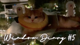 Window Diary #5 | Soft Night Routine🌌 screenshot 4