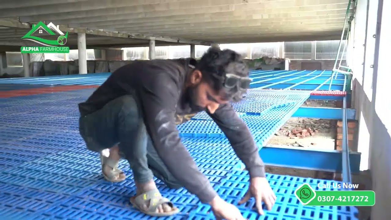 Plastic Flooring for Goats in Pakistan | Alpha Farmhouse | Alpha Livestock