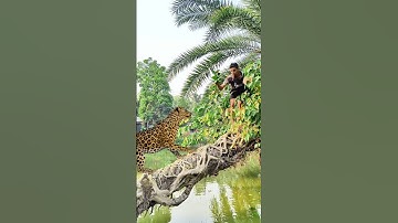 A leopard attacks a boy in a tree over a river. #vfx #shorts #leopard #wildlife #videos #tiger