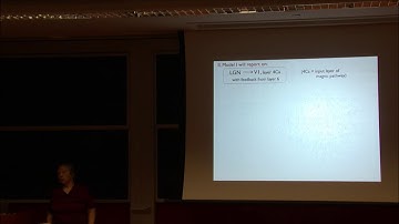 Dynamics of the Visual Cortex - Lai-Sang Young