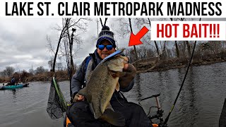 Lake St. Clair Metro Park Bass Fishing the Backwaters!!