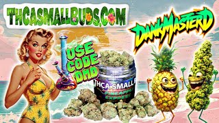 I Smoked Pineapple Express 🍍👽💨 from THCASMALLBUDS & Forgot How To Tie My Shoes 🤯😂 Budget Bud Review