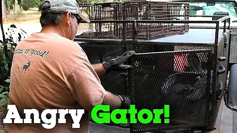 Roger Culpepper vs. The Gator