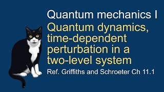 33. Quantum dynamics and time-dependent perturbation in a two-level system