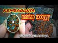 Pancawarna kembang nyeplok || DIY