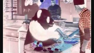 Panda in the Kitchen in G Major.wmv