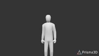 Prisma3D animation test