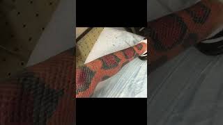 The Worst Tattoos People Have Gotten😱#shorts