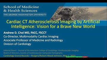 Cardiac CT Atherosclerosis Imaging by AI: Vision for a Brave New World.