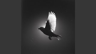 Trust In God instrumental Worship