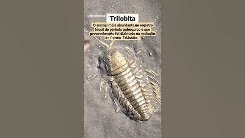 Trilobitas: animais abundantes no paleozoico (entre 542 a 251 milhões de anos atrás).