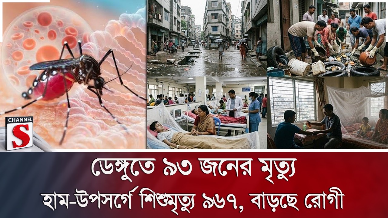ডেঙ্গুতে ৯৩ জনের মৃত্যু; হাম-উপসর্গে শিশুমৃত্যু ৯৬৭, বাড়ছে রোগী | Channel S News