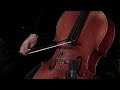 Miniature de la vidéo de la chanson Suite For Solo Cello No. 1: Allegro